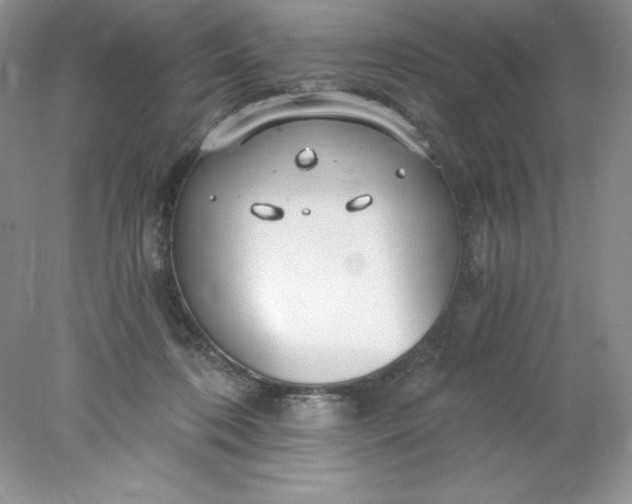 X0000078260316200611172011