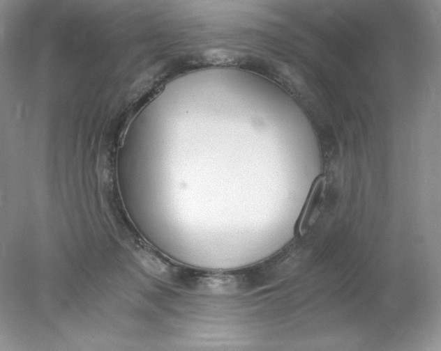 X0000078260317200611172011