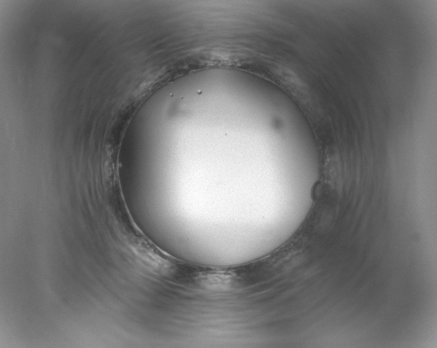 X0000078260318200611172011