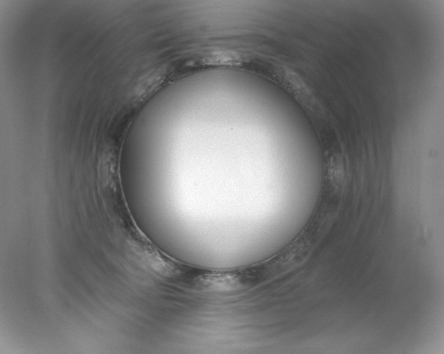 X0000078260322200611172011