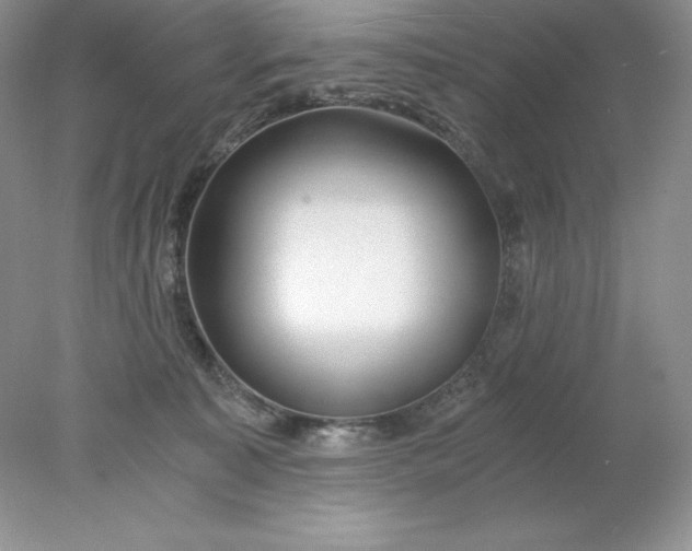 X0000078260323200611172011