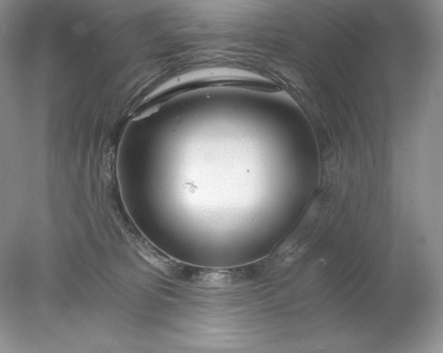 X0000078260325200611172011