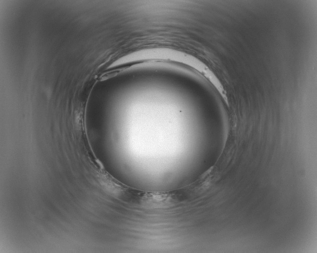X0000078260329200611172011