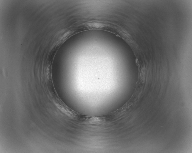 X0000078260330200611172011