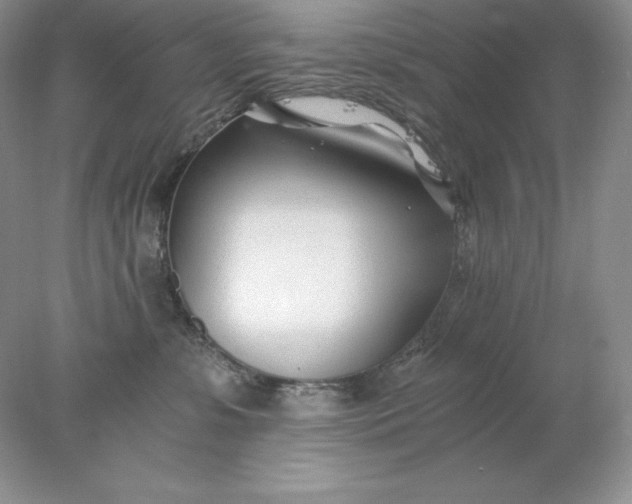 X0000078260331200611172011