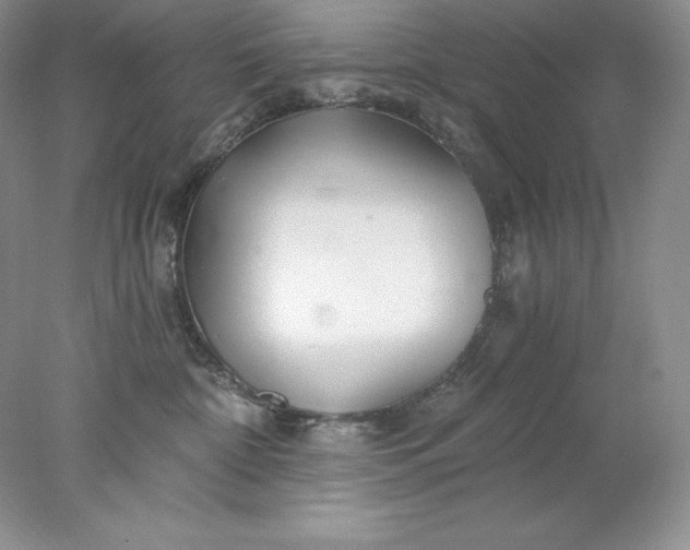 X0000078260332200611172011