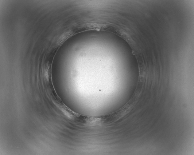 X0000078260334200611172011