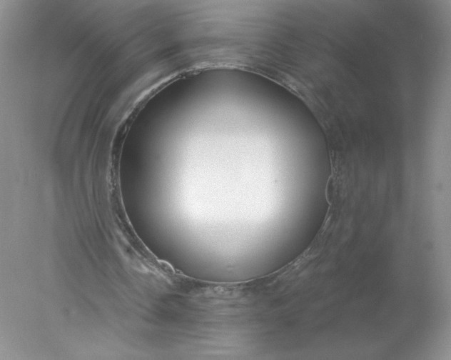 X0000078260338200611172010