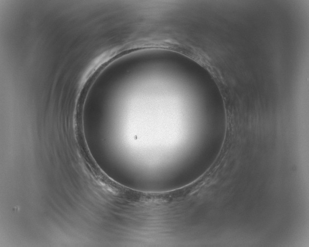 X0000078260340200611172010