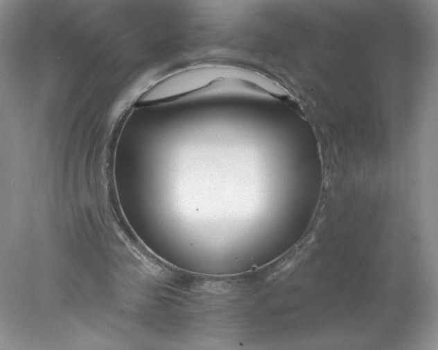 X0000078260341200611172010