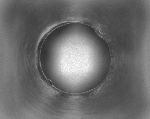 X0000078260342200611172010