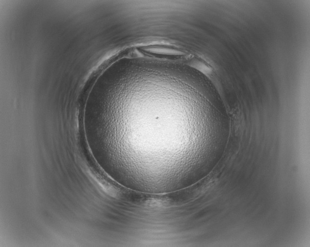 X0000078260350200611172010