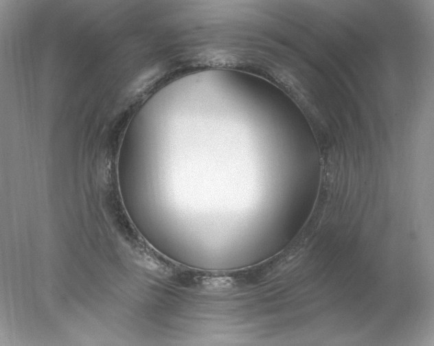 X0000078260355200611172010