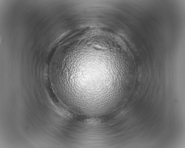 X0000078260356200611172010