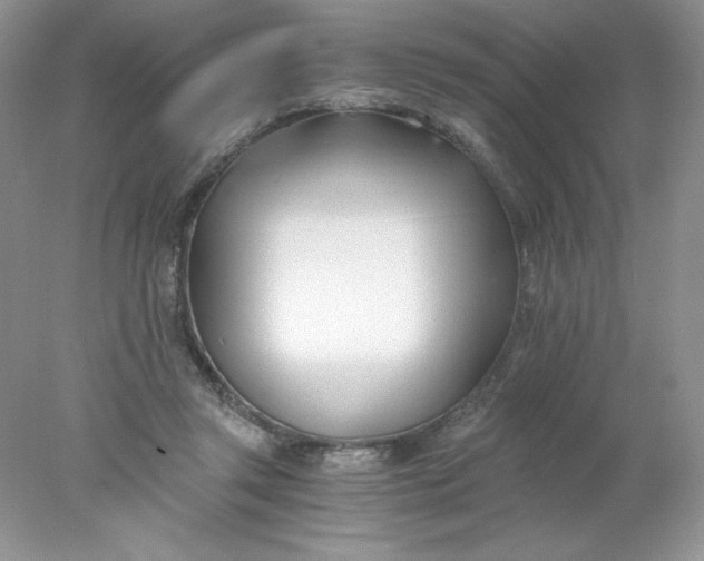 X0000078260357200611172010