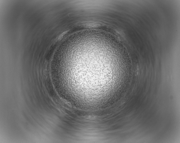 X0000078260360200611172011