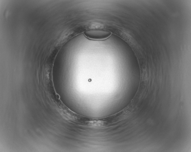 X0000078260363200611172011