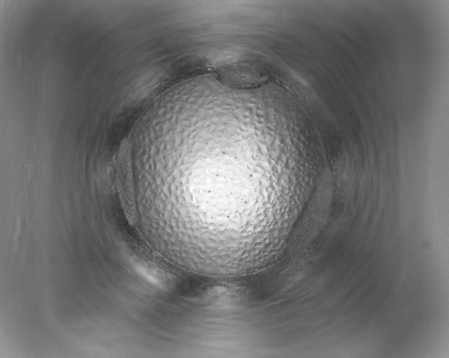 X0000078260364200611172011