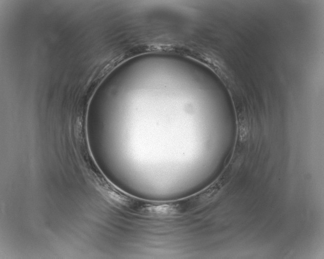 X0000078260365200611172011