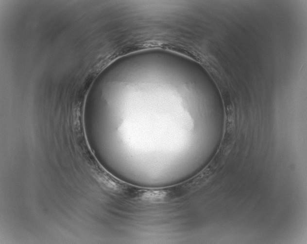 X0000078260369200611172011