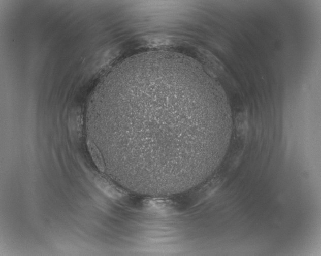 X0000078260372200611172011