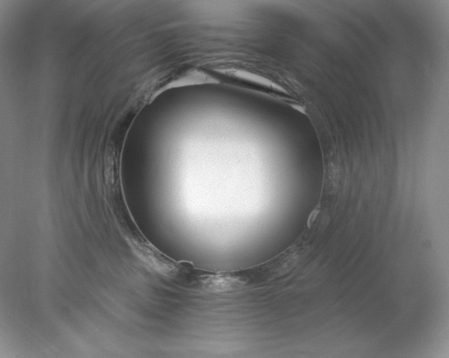X0000078260379200611172011