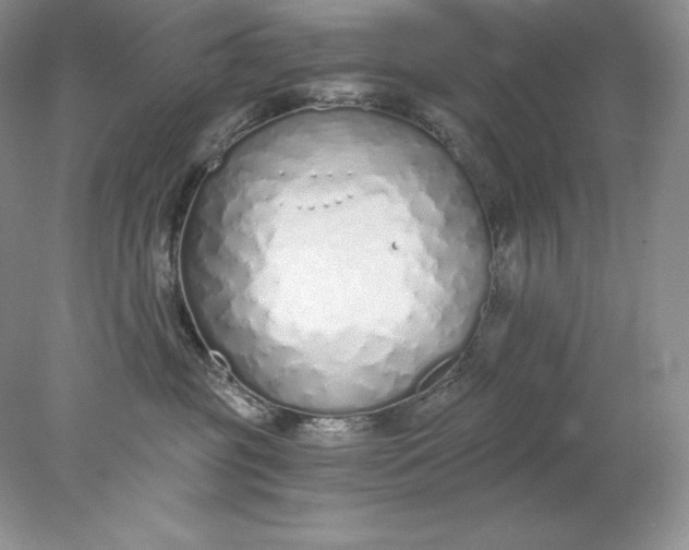 X0000078260381200611172011