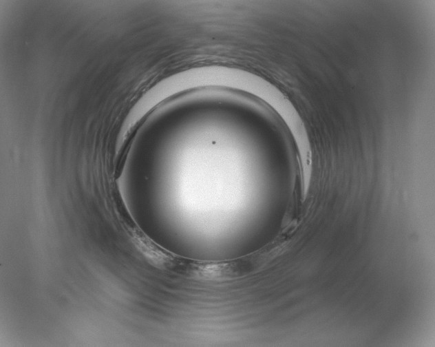 X0000078260382200611172011