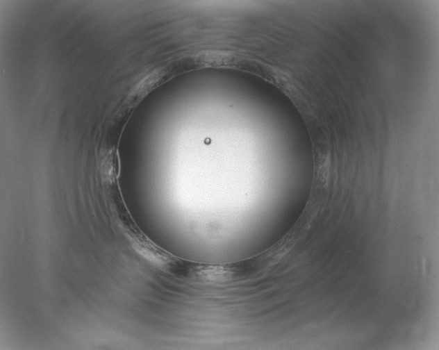 X0000078260383200611172011