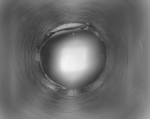 X0000078260384200611172011