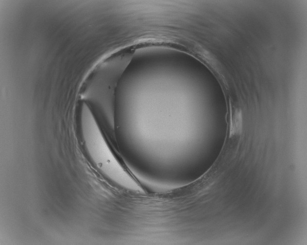 X0000078260387200611172010