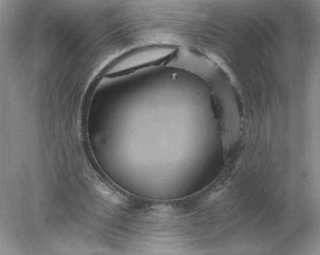 X0000078260391200611172010