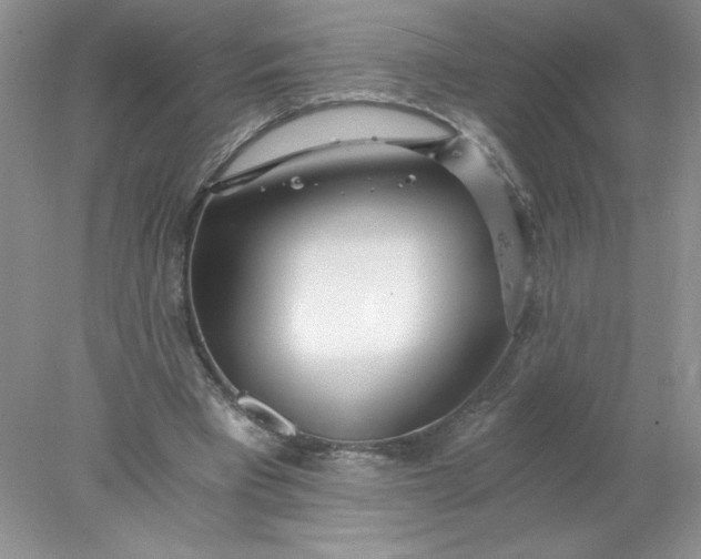 X0000078260393200611172010