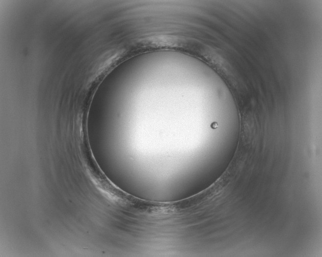 X0000078260398200611172010