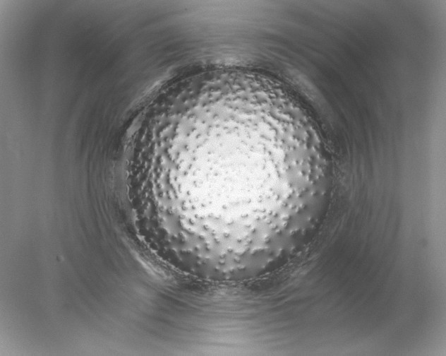 X0000078260401200611172010