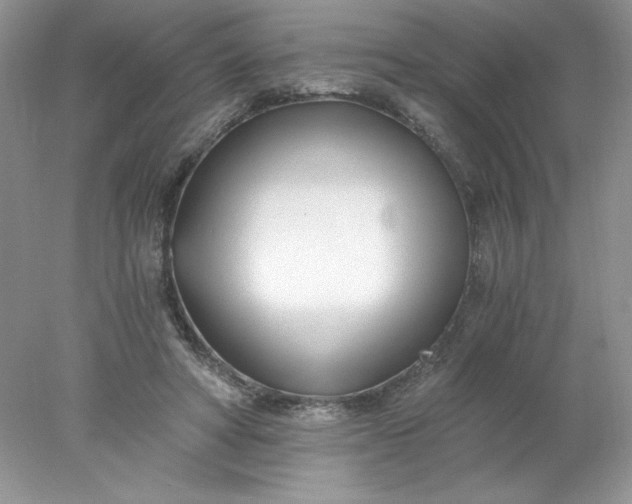 X0000078260402200611172010