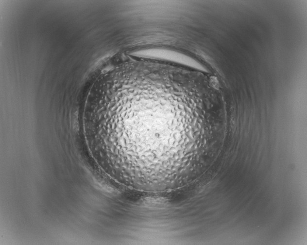 X0000078260403200611172010
