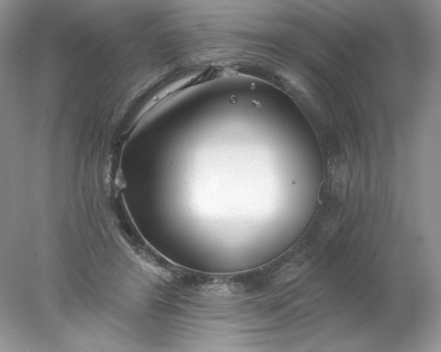 X0000078260404200611172010