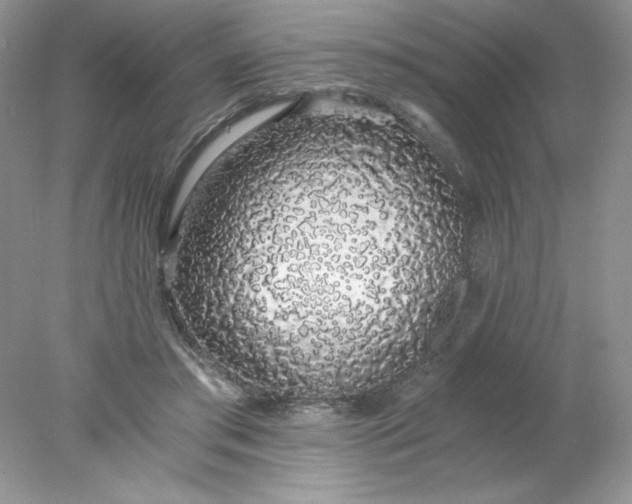 X0000078260405200611172010