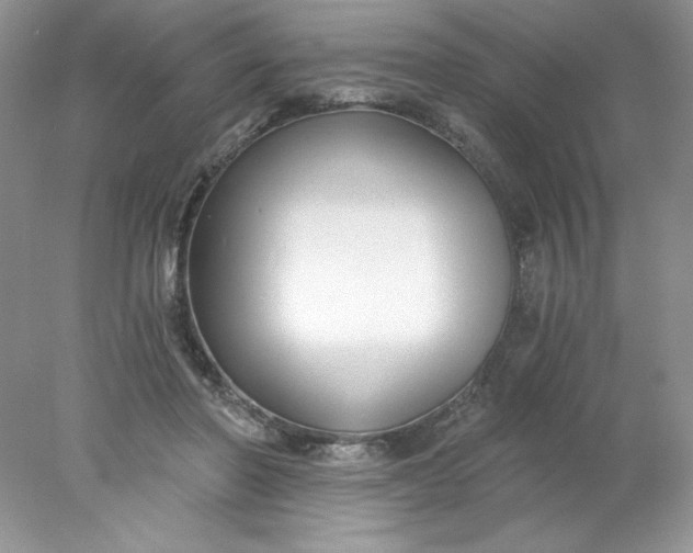 X0000078260406200611172010