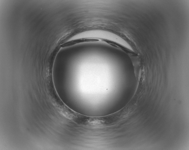 X0000078260407200611172010