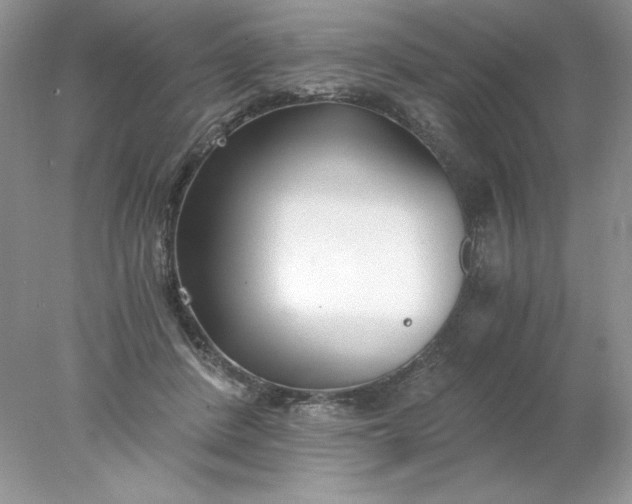 X0000078260408200611172010