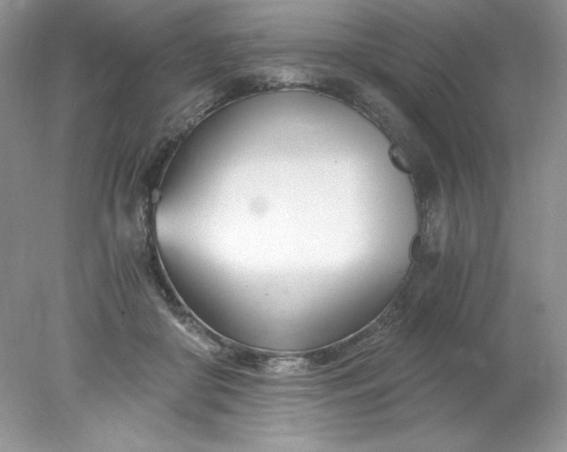 X0000078260410200611172010