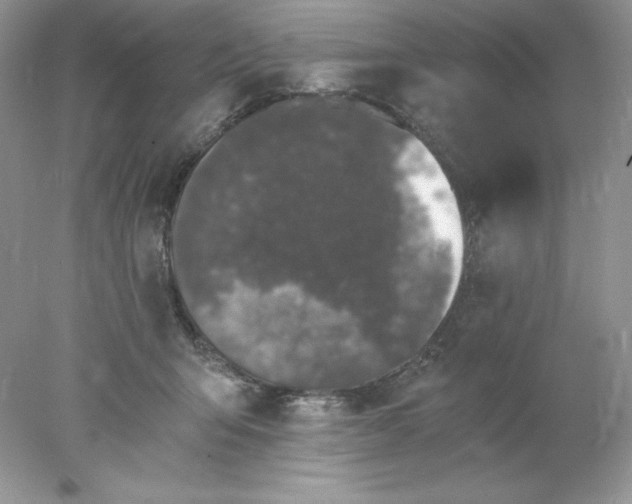 X0000078260415200611172010