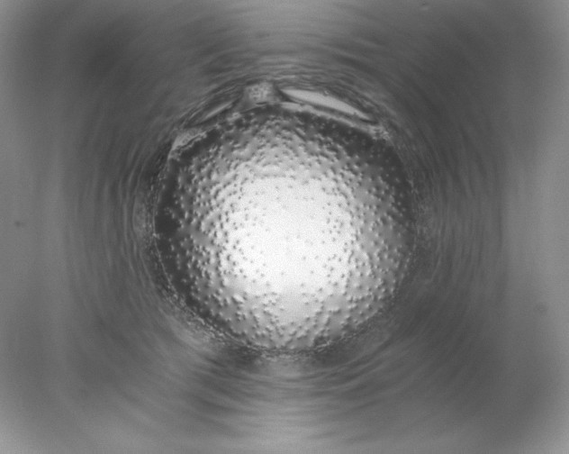 X0000078260417200611172010