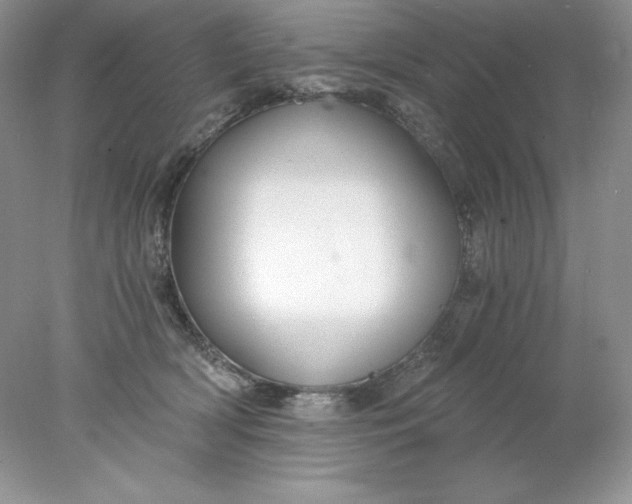 X0000078260418200611172010