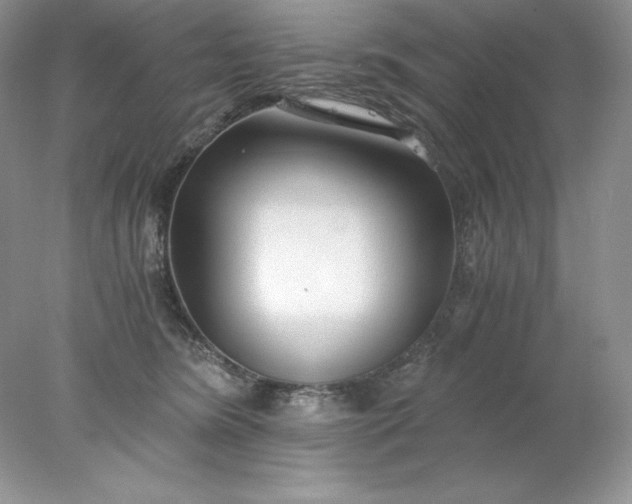 X0000078260420200611172010