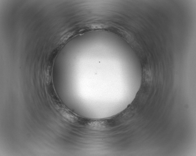 X0000078260422200611172010
