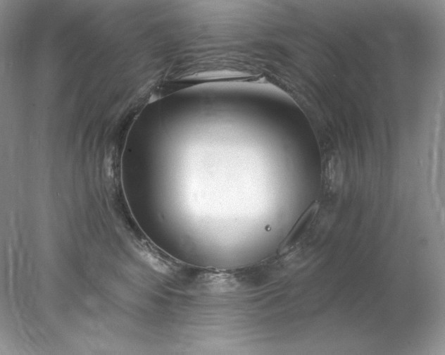 X0000078260424200611172009