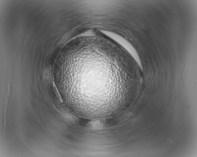 X0000078260425200611172009